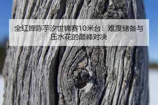 全红婵陈芋汐世锦赛10米台：难度储备与压水花的巅峰对决