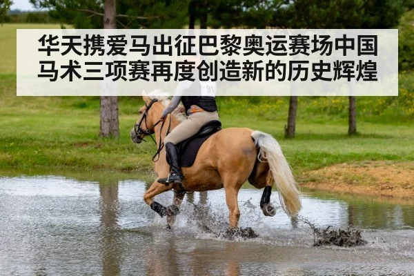华天携爱马出征巴黎奥运赛场中国马术三项赛再度创造新的历史辉煌