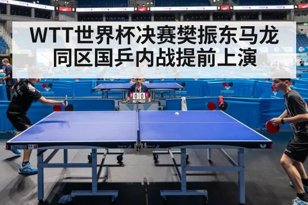 WTT世界杯决赛樊振东马龙同区国乒内战提前上演