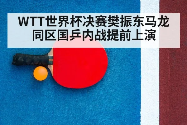 ping pong racket